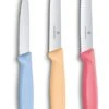 Victorinox Schilmessenset Pastel - 3-Delig